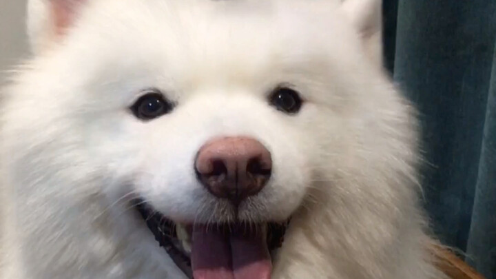 Lời nhắc nhở thân ái: Hãy nhận lấy niềm vui trong ngày của bạn nhé!