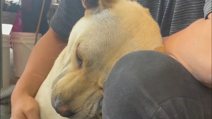 Ngày Tết lớn thế này, có gì mà không vượt qua được chứ