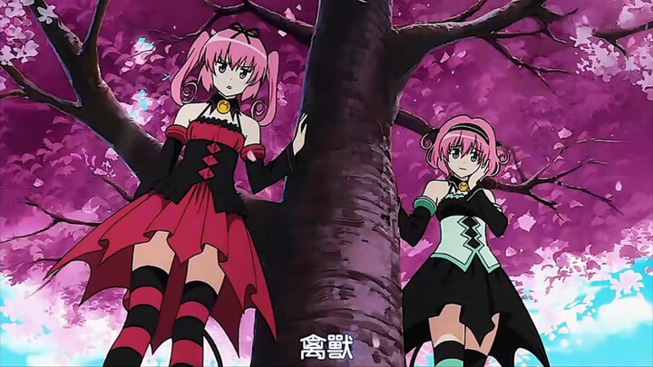 Buy One, Get Two Free: About My Sister-in-Law Falling for Me