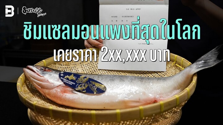 ชิมแซลมอนแพงที่สุดในโลก เคยราคา 2xx,xxx บาท l #sauceใต้สมุทร