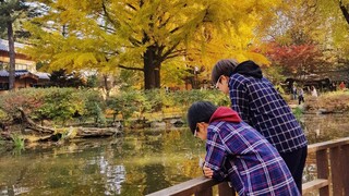 Our Trip to Nami Island | Fun time with our Family