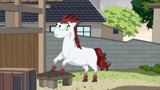 The Wild Horse That Would Rather Die Than Submit