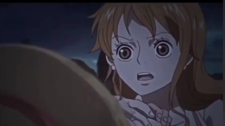 CEWEK INI DIKENAL SEBAGAI PENCURI KUCING | One Piece