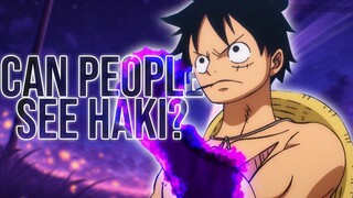 Can One Piece Characters See Haki?