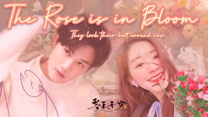 [Zheng Yecheng x Zhao Lusi] Yun Chuan & YES sweet interactions | Behind the scenes & interview from 