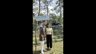 SKY DECADE | DREAMS IN THE SKY | TUYÊN QUANG #3