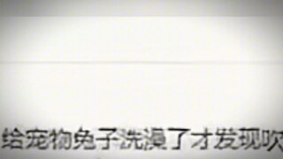 【小C祖】我的最新作品，快来一睹为快！