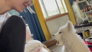 学狗叫把狗子整不自信了