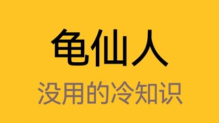 《龙珠》里龟仙人的原型居然是他？