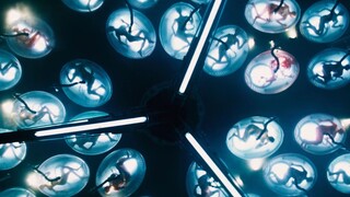 人类殖民里海星40年，科学家检查先遣队的基因，却有了恐怖发现【科幻Fans 布玛】科幻短篇小说 《人生不相见》