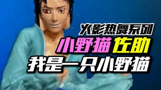 我是一只小野猫