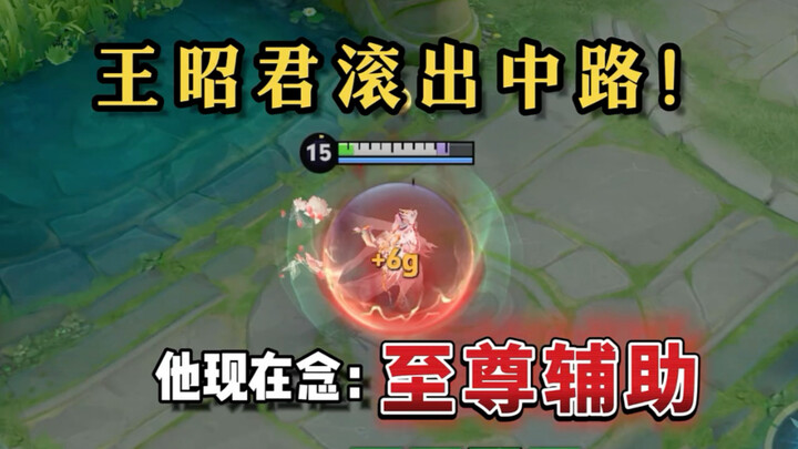 Facing this Wang Zhaojun in ranked matches is truly disgusting!