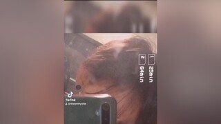 nabaliw lng sguro lose streak ee