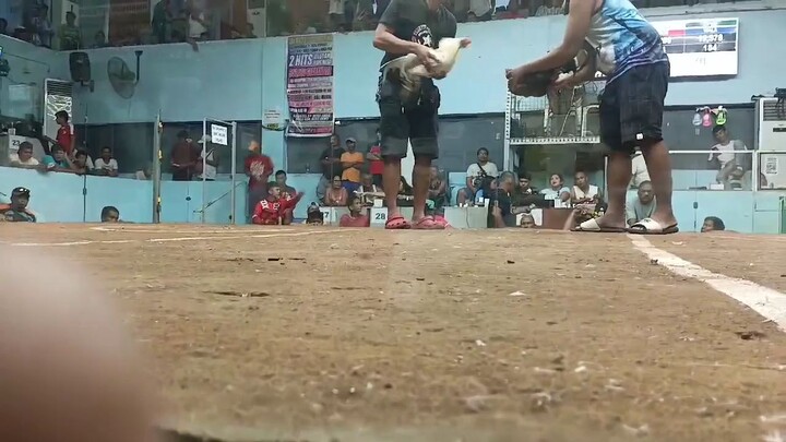 white kelso biboyline @San Mateo cockpit win