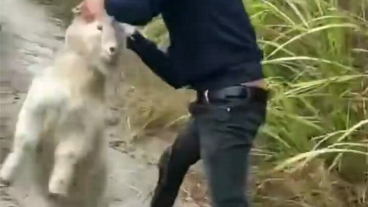 “Sumpah gila banget, nonton lagi deh” «5»