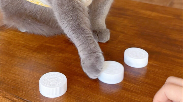 Mấy trò vặt vãnh này mà cũng định làm khó Mimi à?