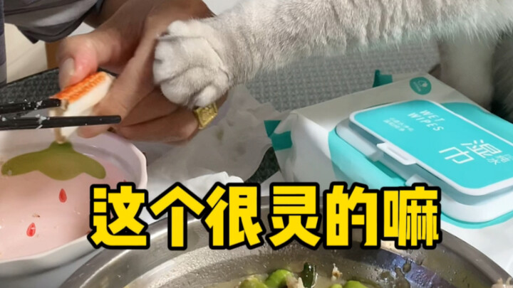 ส่วนน้องชายก็ช่างไร้แวว ไม่เห็นหรือไงว่าพี่ชายไม่มีใจจะเล่นด้วย?!