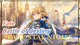 Fate|【Fate/stay night】Thorny road ahead, the battle of destiny