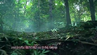 พชรมนตรา  15