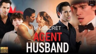 My Secret Agent Husband