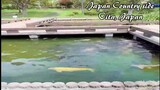 DISCOVER OITA, JAPAN || BEAUTIFUL PANORAMIC VIEW || COUNTRY SIDE