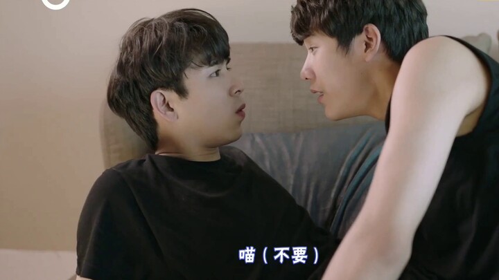 [Fate to swear to you 13cut] The primary school chicken finally got enlightened! It's your time to d