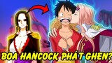 Dàn Harem Của Luffy?! | Những Tình Địch Của Boa Hancock Trong One Piece