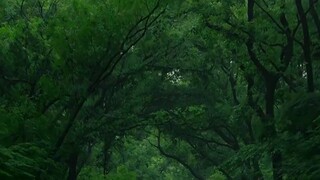Mai có đi học mua giúp e 2 lốc sữa chua có đường với nha c