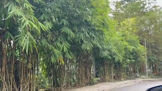 今天很短但今天很重要，漂亮的今天，不僅可以把昨天的輝煌變成明天的輝煌，更可以把昨天的失敗變成明天的成功。每一個今天都是新的一天的開始，腳踏實地，全身心的經營好今天，才會迎來燦爛的明天。