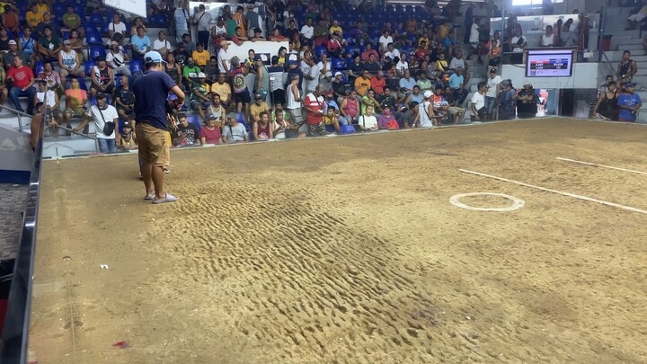 Pula vs mayahin (win)