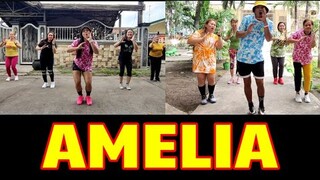 AMELIA (TIKTOK VIRAL) | Dj Danz Remix | Dance Fitness | by Team #1