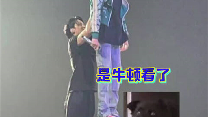 جين مين كيو يرفع سيو ميونغ هو؟ يبدو أن هؤلاء الأشخاص لا يكترثون حقًا بوجود معجبين لهما~