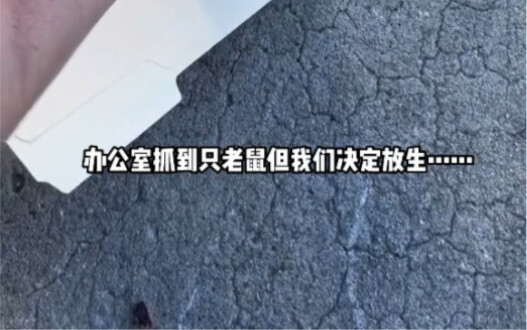 This release is really………
