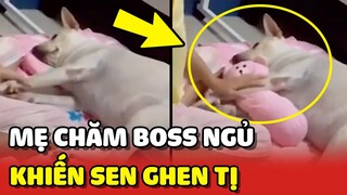 Nhìn phụ huynh chăm Boss ĐI NGỦ khiến hội con Sen GHEN TỊ đỏ mắt 😂 | Yêu Lu