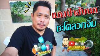 ร้านครัวบ้านทุ่งอาหารป่า EP.3 แกงป่าสับนก(ปลากราย) ชะโดลวกจิ้ม