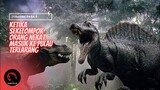 Terjebak Di Pulau Terlarang | ALUR CERITA FILM Jurassic Park 3