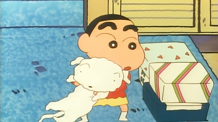 小新：“住手，小白”