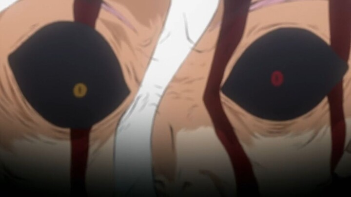 Sengoku Youko: Yonaoshi Kyoudai-hen EPS 13 END (SUB INDO)