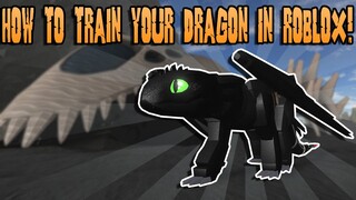 HOW TO TRAIN YOUR DRAGON IN ROBLOX! | Roblox Berks Dragons |