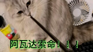 进不了霍格沃兹，只能进阿兹卡班了（cover）
