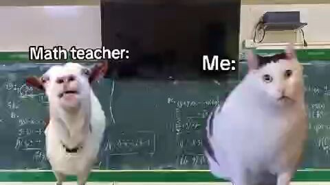 memes