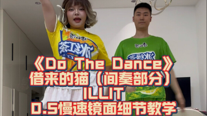 【舞蹈教程】间奏来啦！借来的猫Do The Dance-ILLIT 0.5慢速跟音乐+超详细分解教学