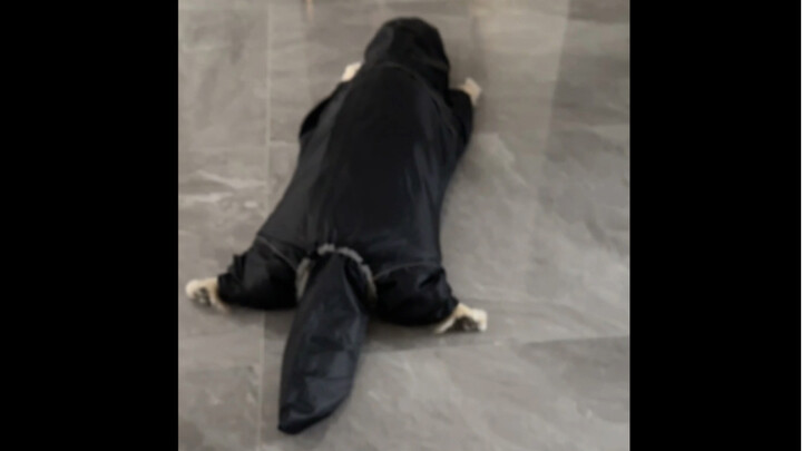 Có anh chị bán hàng nào tốt bụng không, sắp xếp cho em chó to cũng có áo mưa xinh xắn được không 😅 T