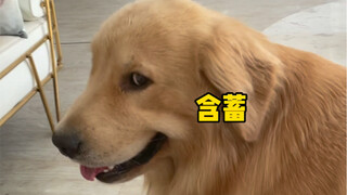 Recently, I don’t want to go out anymore, I just want to turn on the air conditioner to cool down.