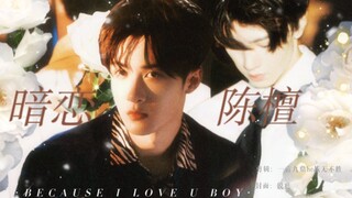 陈哲远檀健次 | “我很擅长暗恋”关于两个人的暗恋 | because i love u boy