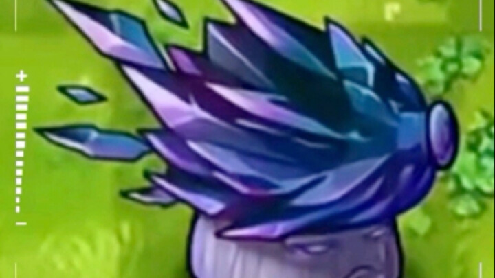 Don't Be Fooled by the Cover