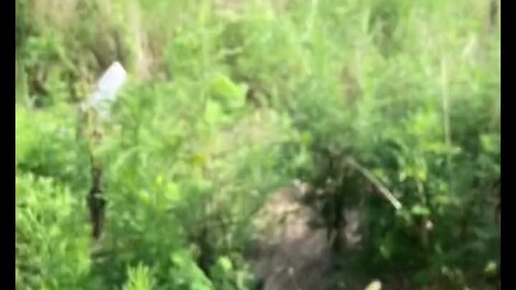 ฉันคือใคร? ฉันอยู่ที่ไหน?