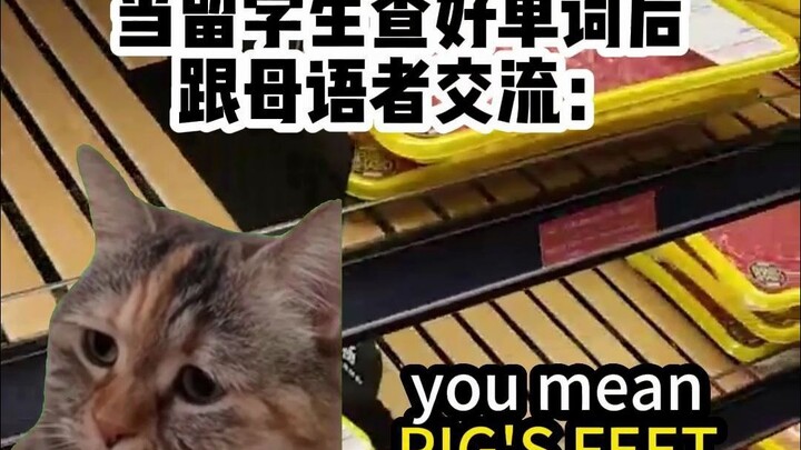 【Meme Kucing】Saat Mahasiswa Internasional Keluar Belanja dan Makan (Versi Little Shakespeare (?))