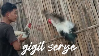 gigil mo si jowjow🤸