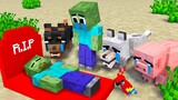 Monster School : BABY ZOMBIE BECOME DOG BECAUSE WOLF FAMILY - Minecraft Animation